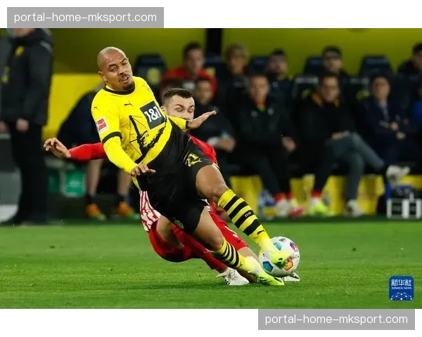 多特蒙德2-0弗赖堡，阿德耶米布兰特补时双响